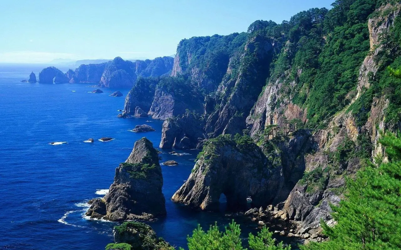 高端高端智能化
